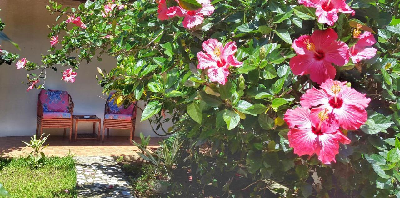 Vida Tropical Bed & Breakfast Alajuela Exterior photo