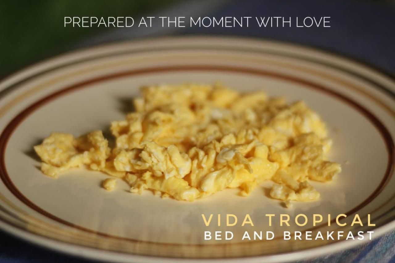 Vida Tropical Bed & Breakfast Alajuela Exterior photo