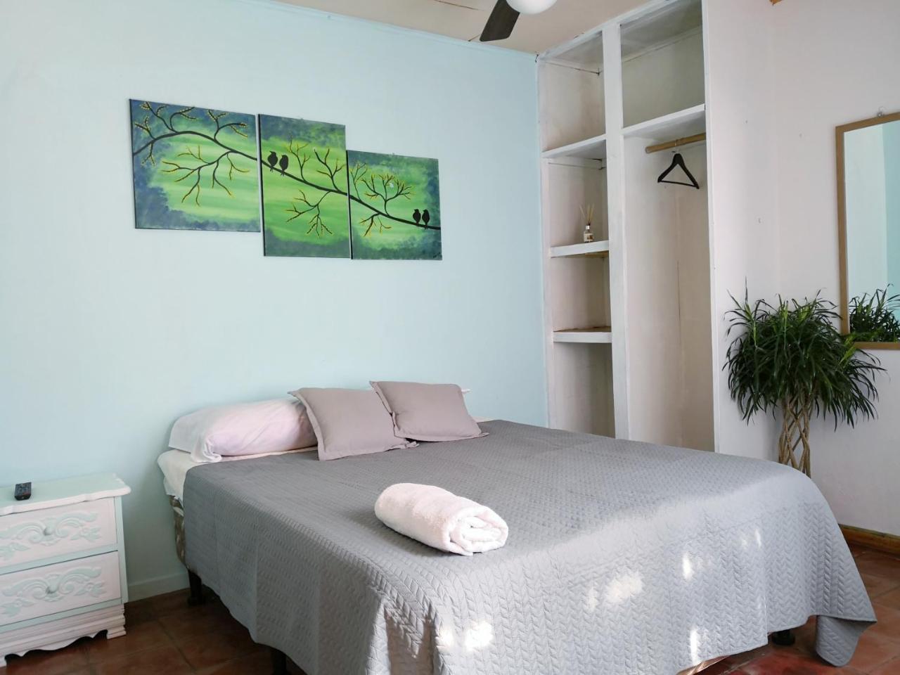 Vida Tropical Bed & Breakfast Alajuela Exterior photo